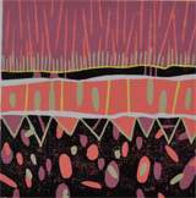 Shooting Stars - Julian Davies