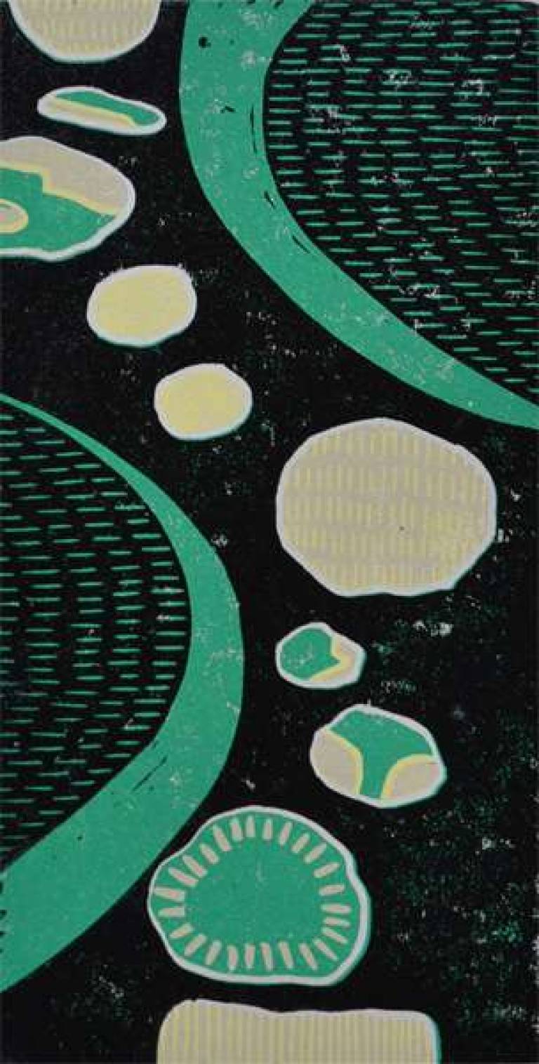 Midnight Zen Garden - Julian Davies