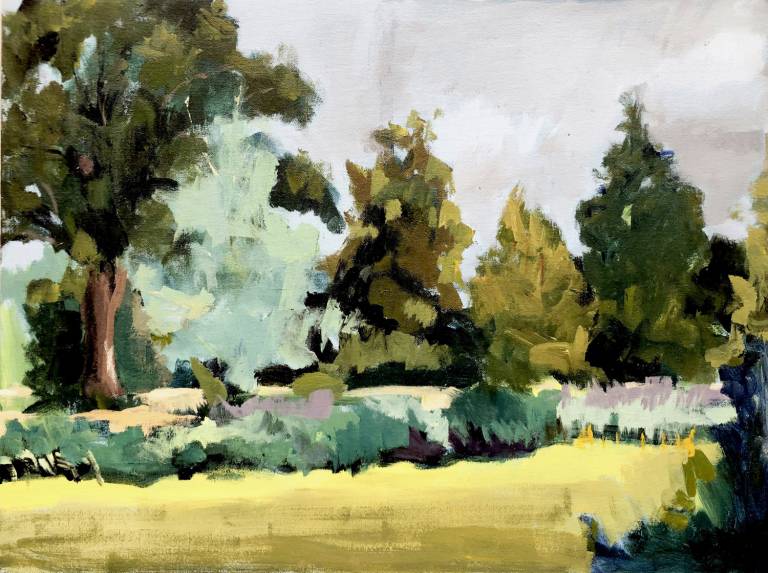 Summer Trees - Martin Burrough