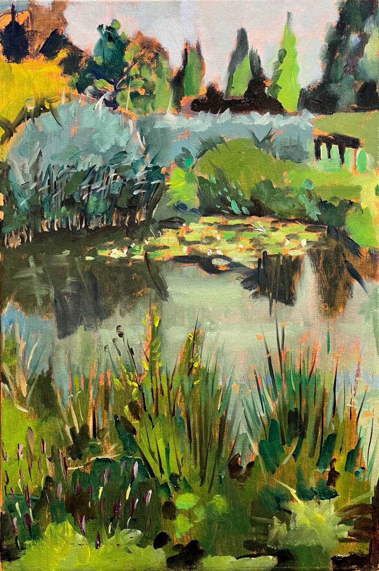 Wetland Lily Pond - Martin Burrough