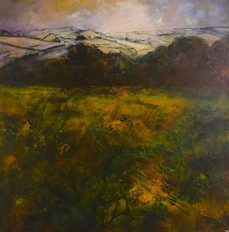Dartmoor Light - Greg Ramsden