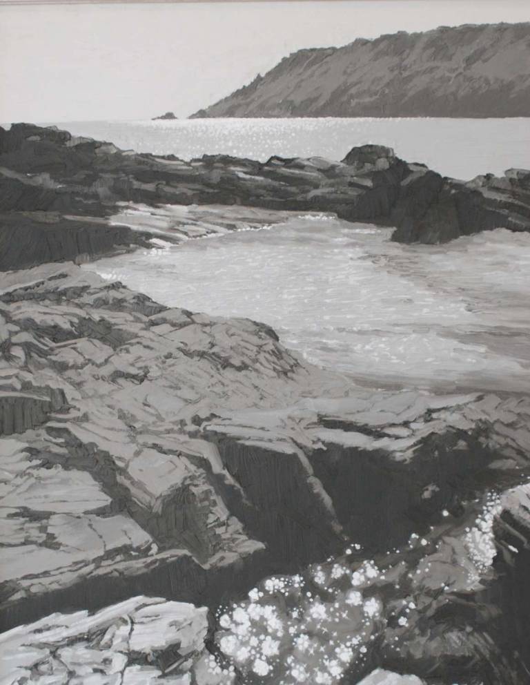 Secrets of the South Hams Coastline - Greg Ramsden