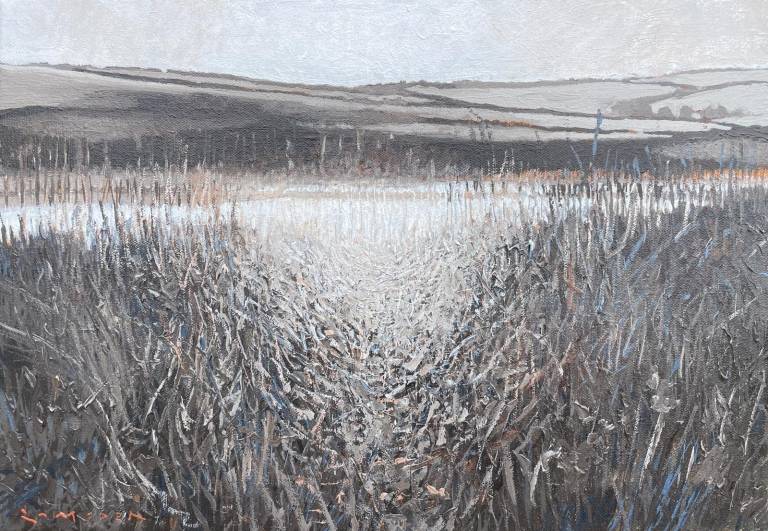 Camel Estuary, Near Rock - Greg Ramsden