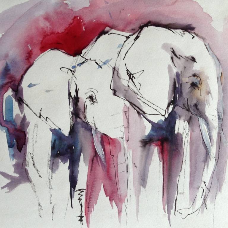 Wildlife - 