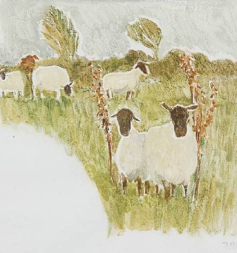 Tessa Newcomb - Sheep In A Landscape