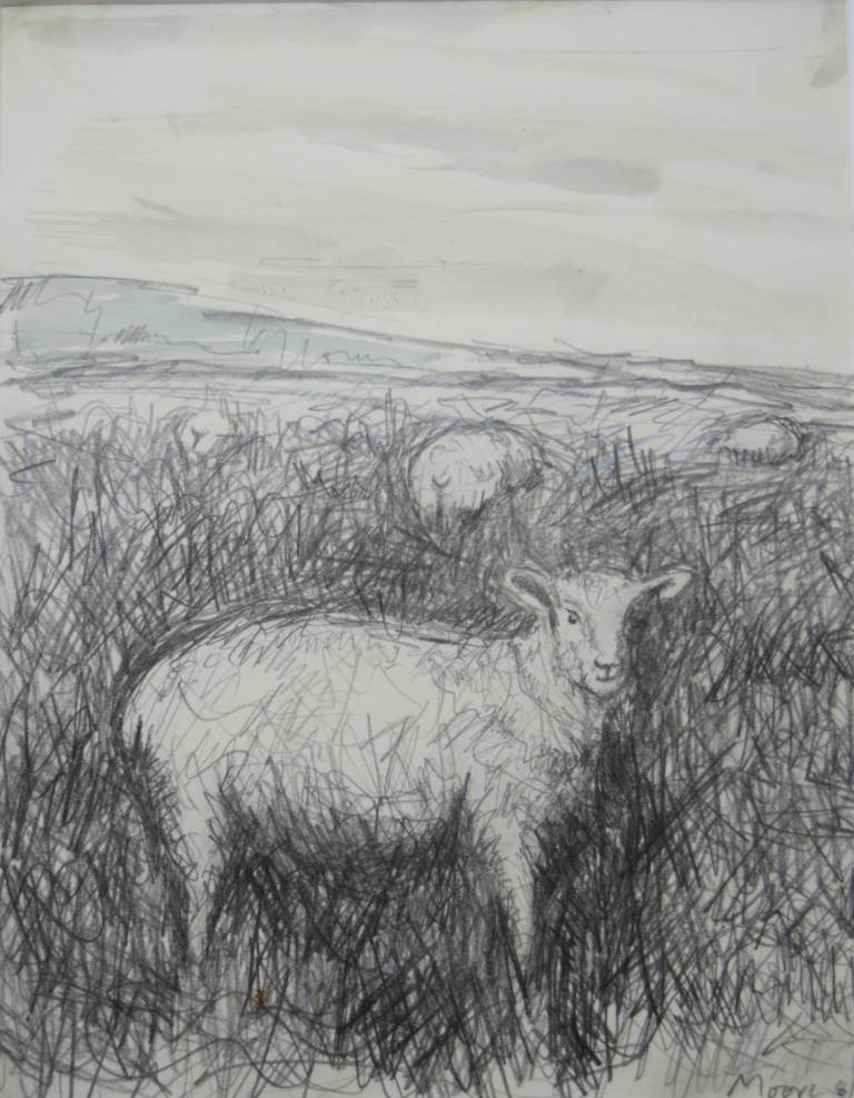 Sheep Grazing in a Landscape - Henry  Moore