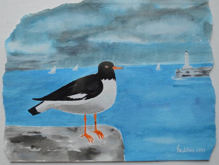 Oyster Catcher - Mary  Fedden