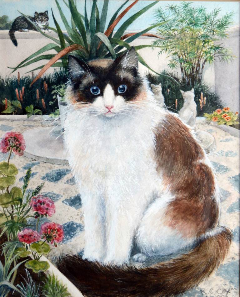 Cats in Our Garden - R.C. Cox