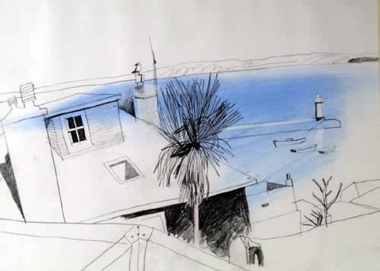 Skylight and Palm at St Ives - Paul Stevenson