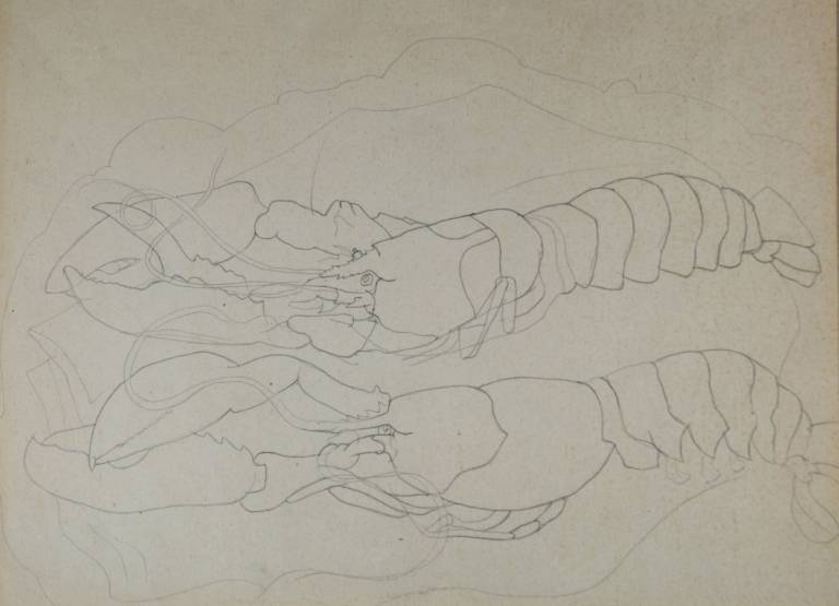 Two Lobsters, London Aquarium - Christopher Wood