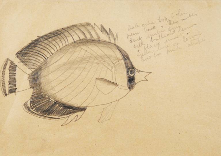 Pufferfish, London Aquarium - Christopher Wood