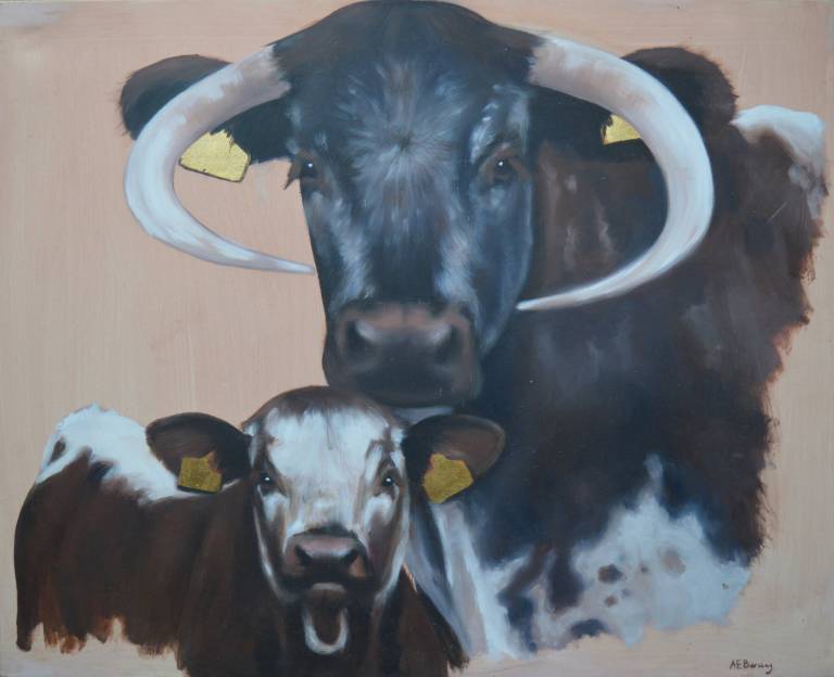Antonia Barclay - Cow and Heifer