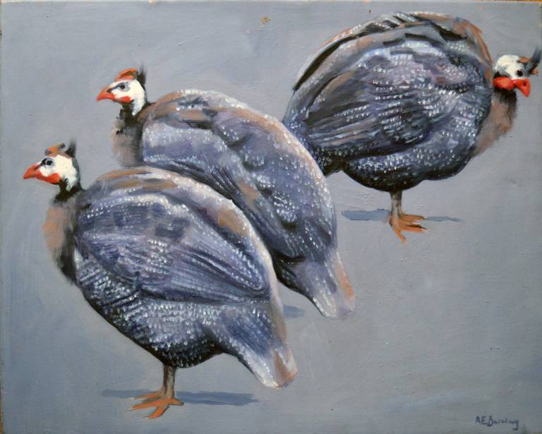 Guinea Fowl - Antonia Barclay