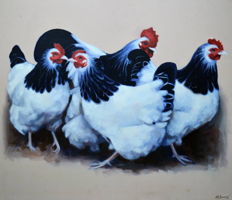 Antonia Barclay - Chickens