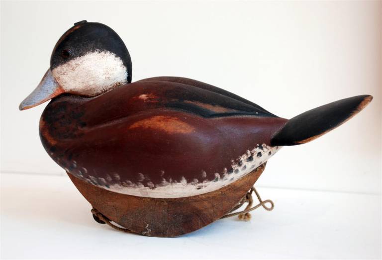 Mallard - Chris Hindley