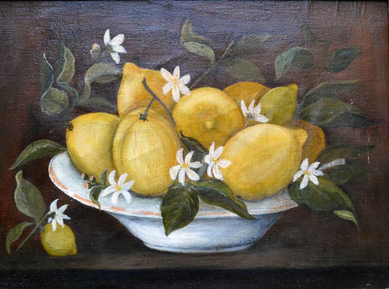 Lemons and Blossom in a White Bowl - Unknown