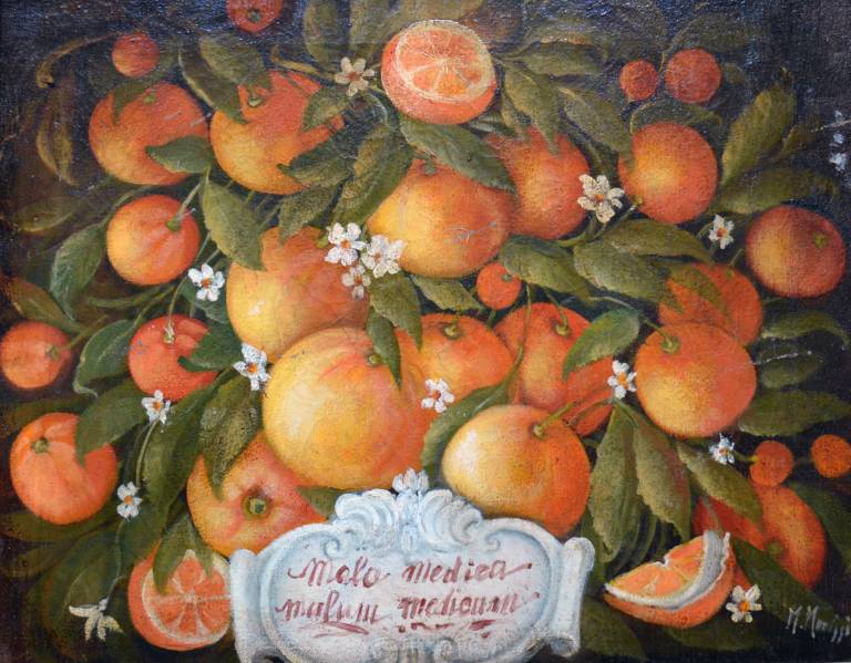 Oranges in a Decorative Group - Unknown