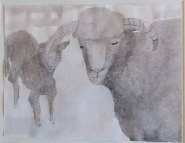 Dorset Horn Ewe And Young Lamb - Mary Newcomb