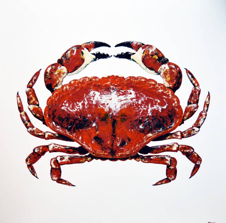 John Frith - Crab