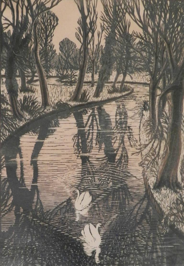 Swans on the Cam - Gwen Raverat