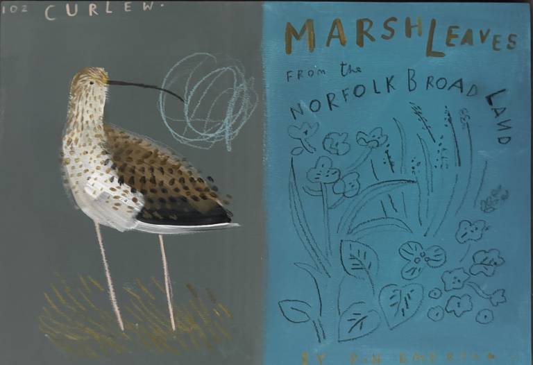 Curlew - Janine Burrows