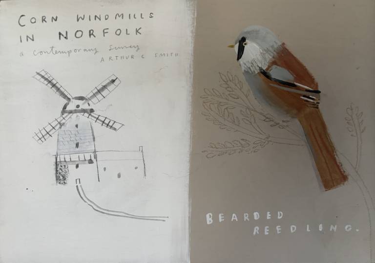 Bearded Reedling - Janine Burrows