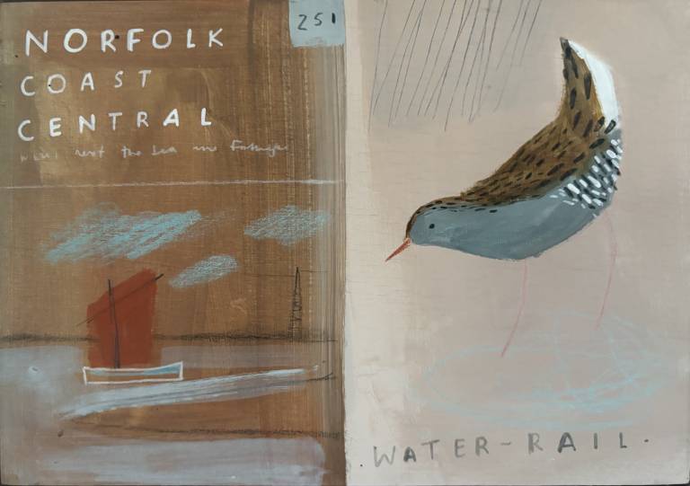 Water Rail - Janine Burrows