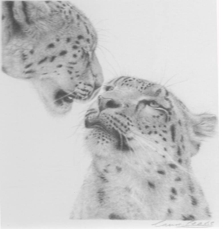 Lion Cubs - Laura Pearse