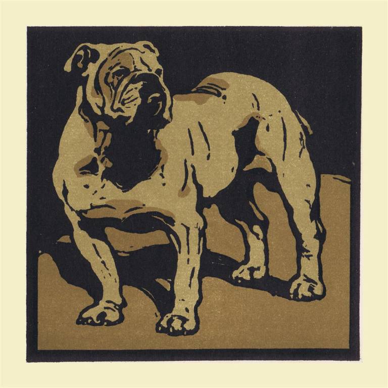 The Square Book of Animals - William Nicholson