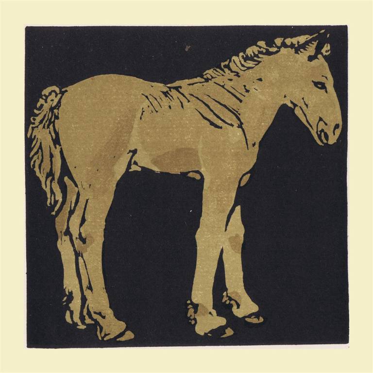 The Square Book of Animals - William Nicholson