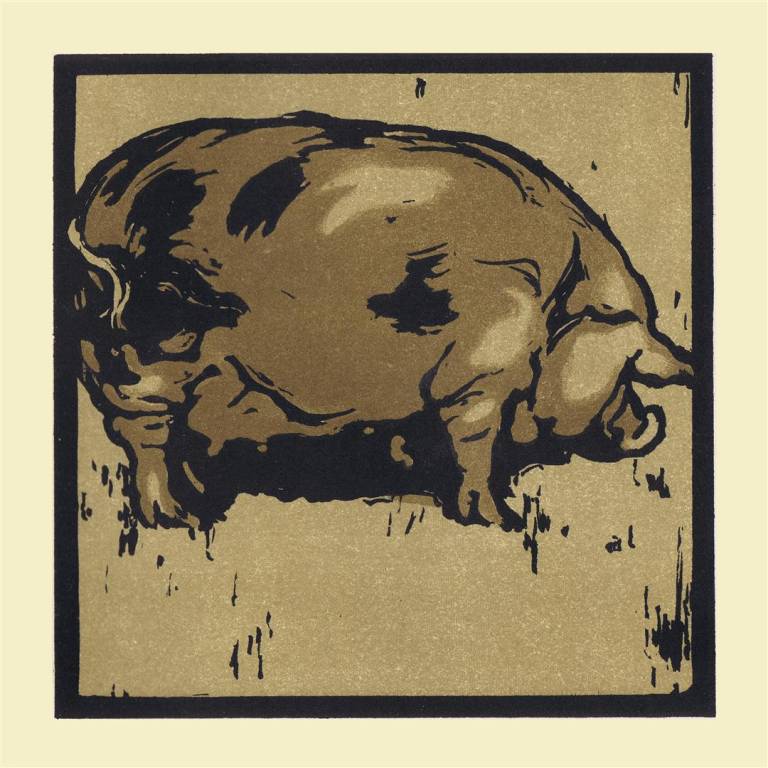 The Square Book of Animals - William Nicholson