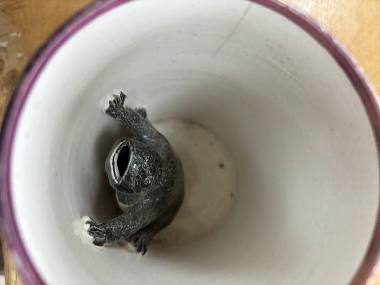 Victorian Frog Mug - Unknown