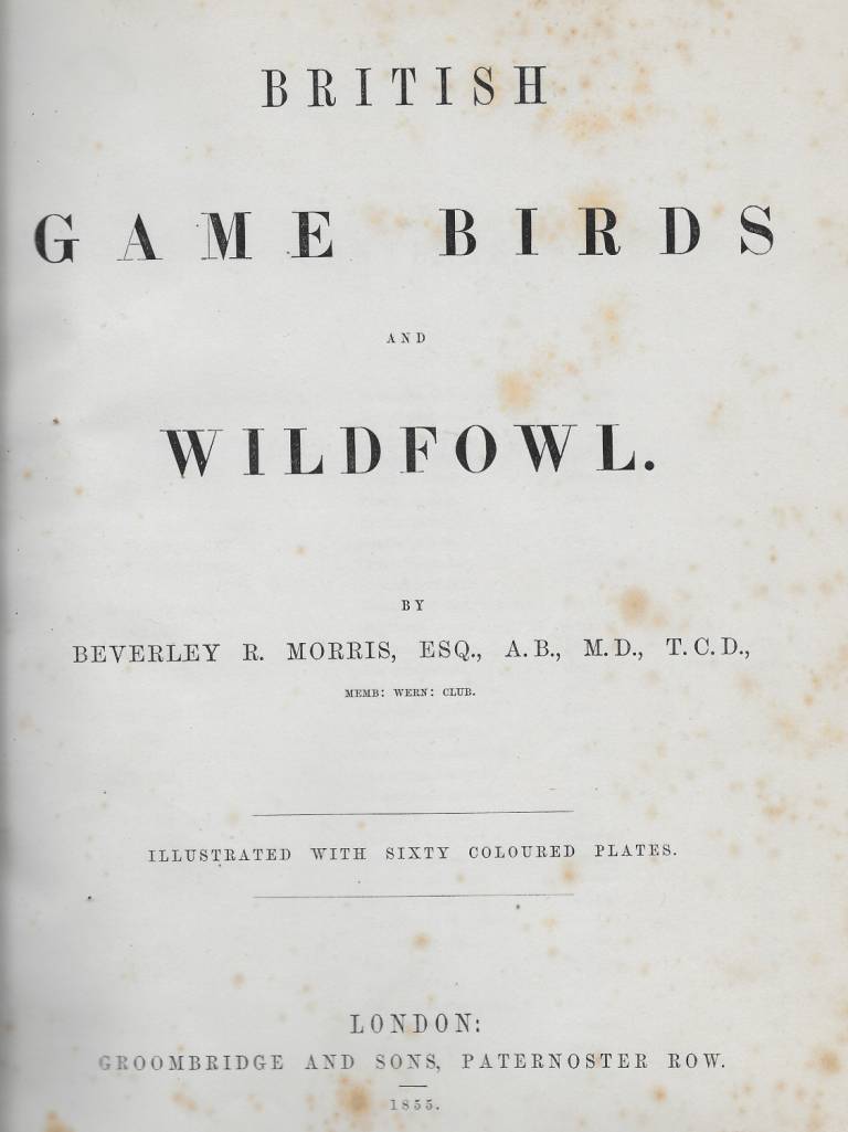 British Game Birds and Wildfowl - Beverley Morris