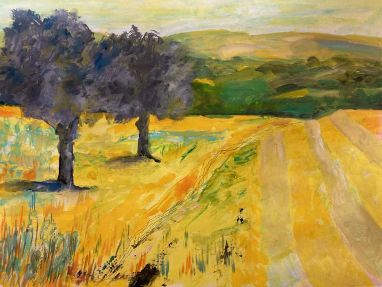 Knowle Park - The Fields - 