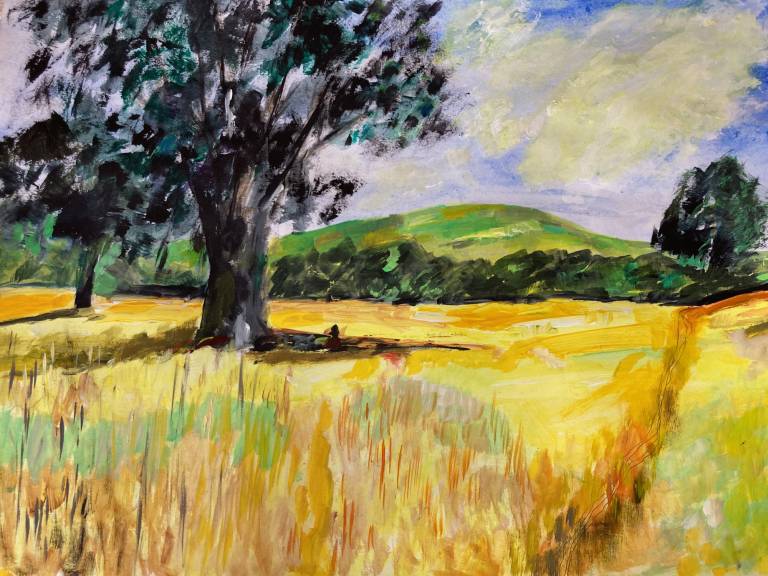 Knowle Park - The Fields 1 - Max Aiken