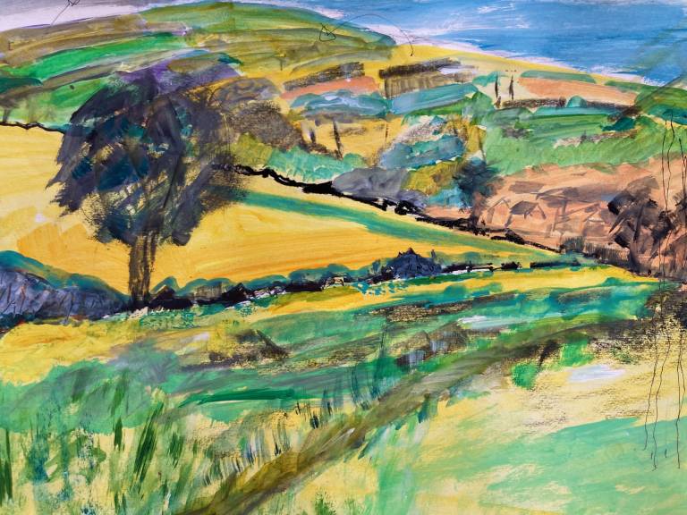 Knowle Park - View across the Fields 3 - Max Aiken