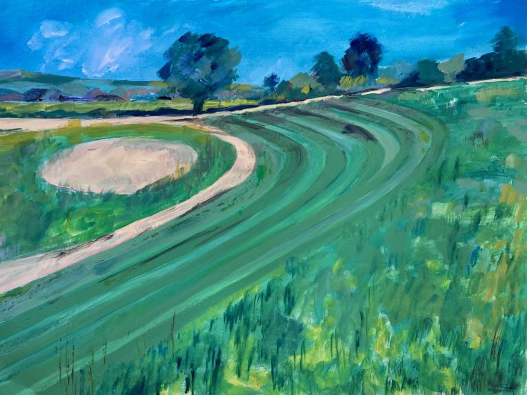 Knowle Park - View across the Amphitheatre - Max Aiken