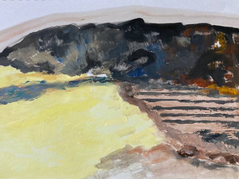 Lanzarote - crumbling rocks and farming - Max Aiken