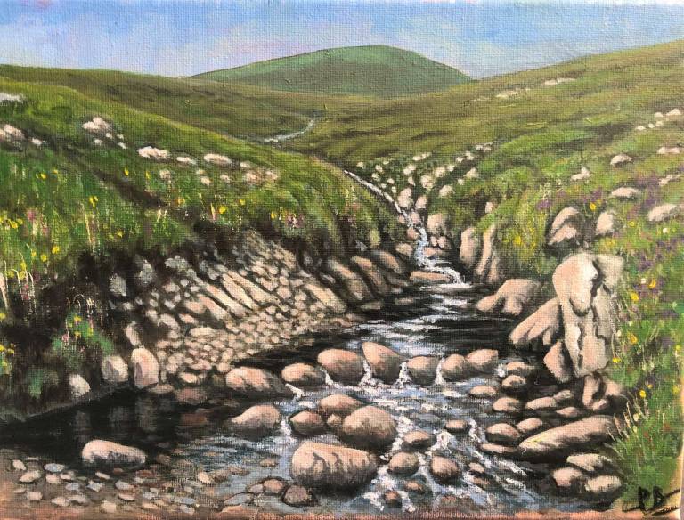 Mountain Stream Co Mayo - Peter Barter