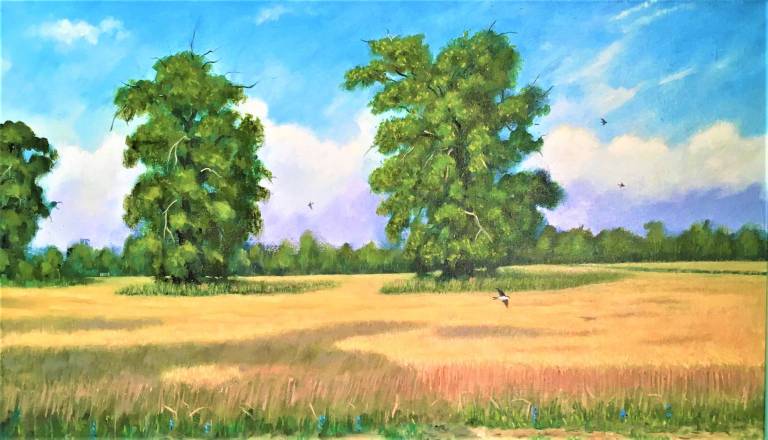 Trees and Corn - Peter Barter