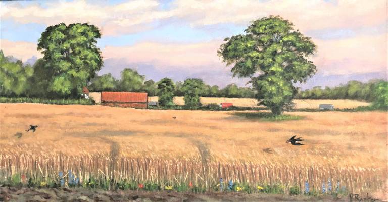 Oaks at Stoke - Peter Barter