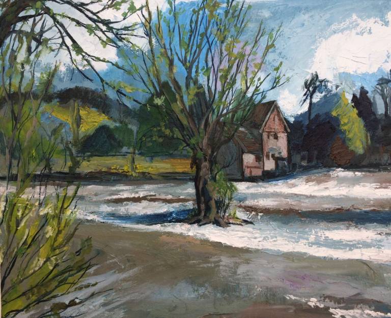 Mill on the River Teme at Ludlow. - Sally Mole