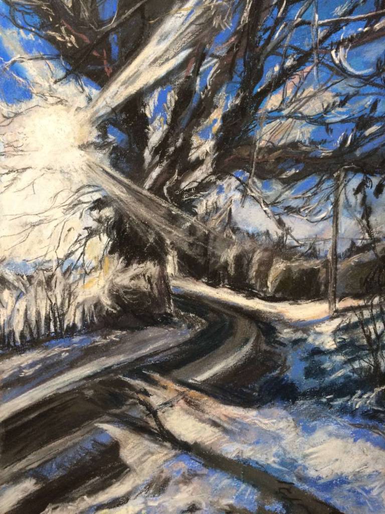 Shropshire Bright Sun and Snow, Shropshire. - Sally Mole