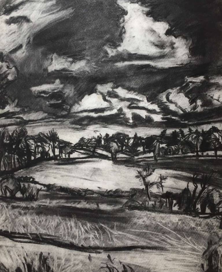 Clouds and Fields - Sally Mole
