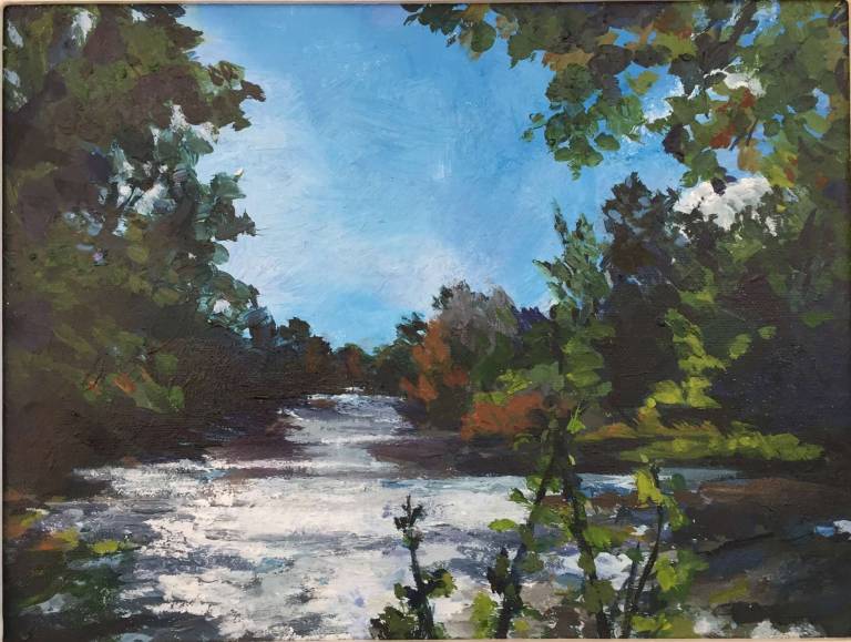 River Teme Ludlow Art Poster - Sally Mole