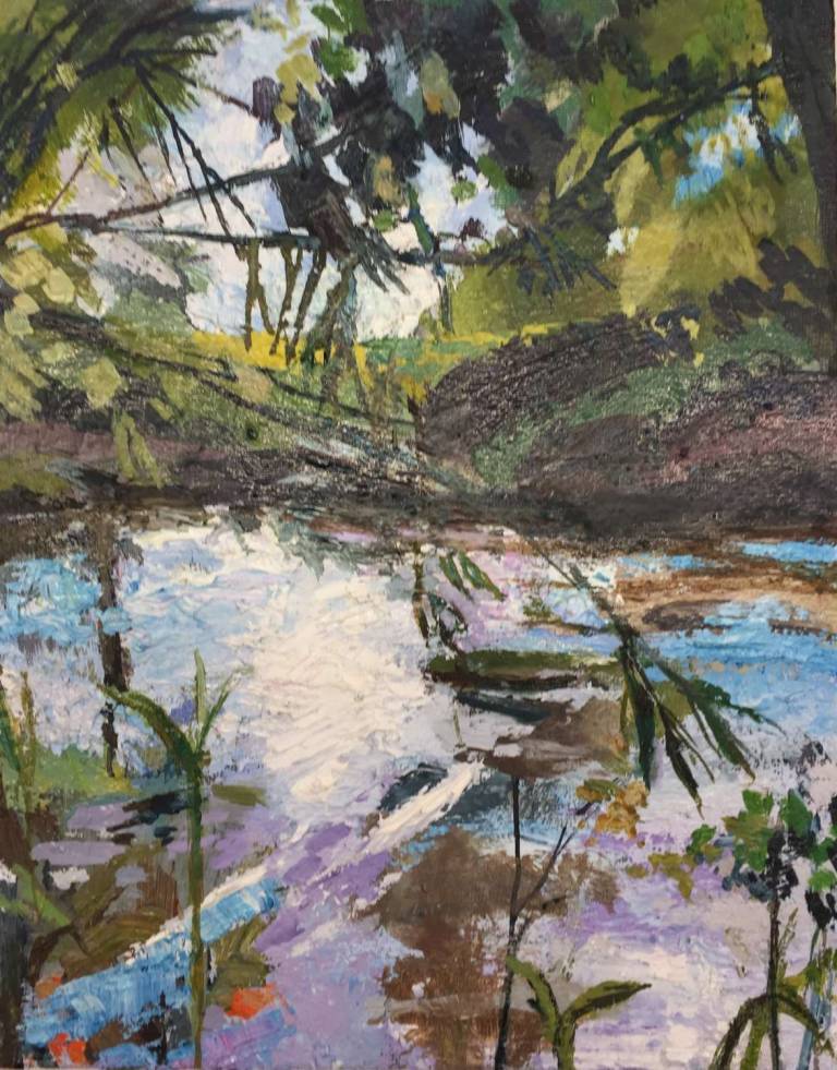 River Teme Ludlow V .Art Poster - Sally Mole