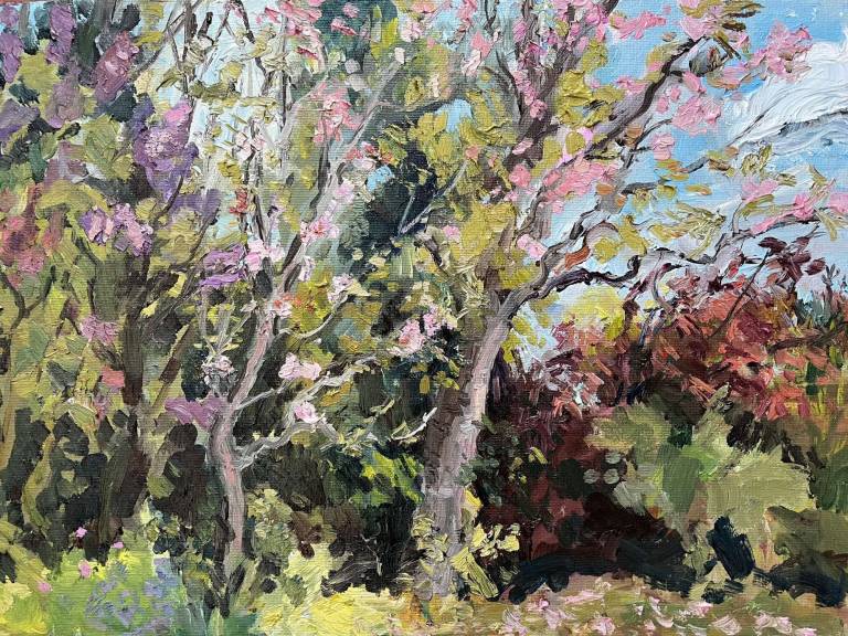 Spring Blossom, Cherry Tree and Lilac. Currently at the Russell Gallery Putney - Sally Mole