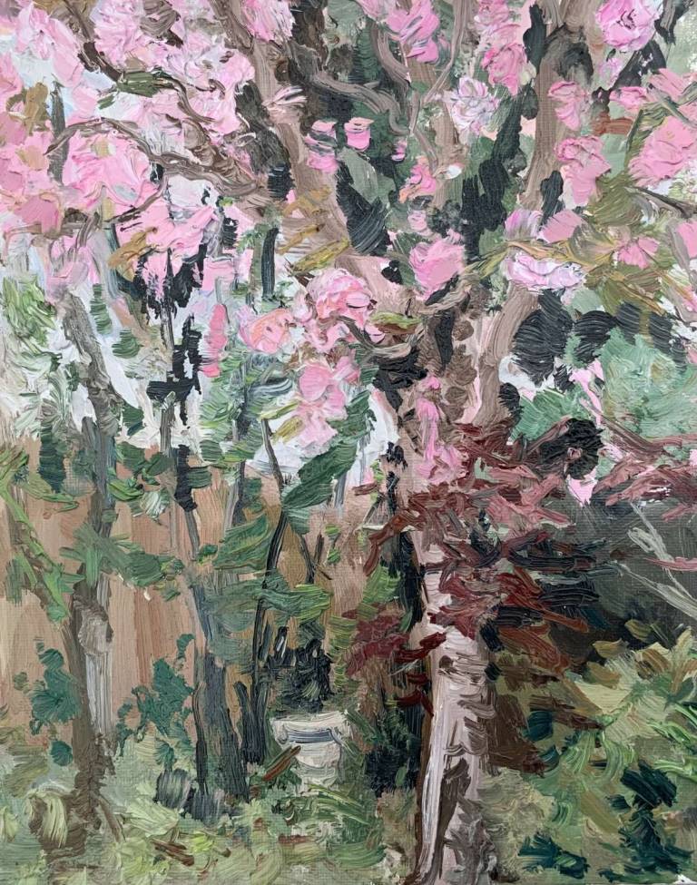 Spring Cherry blossom. Currently in The Russell Gallery Putney - Sally Mole