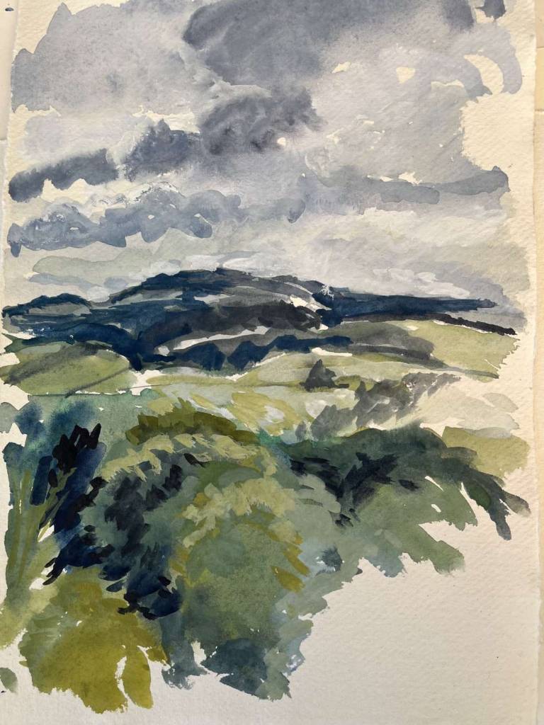 Looking West from the studio - Sally