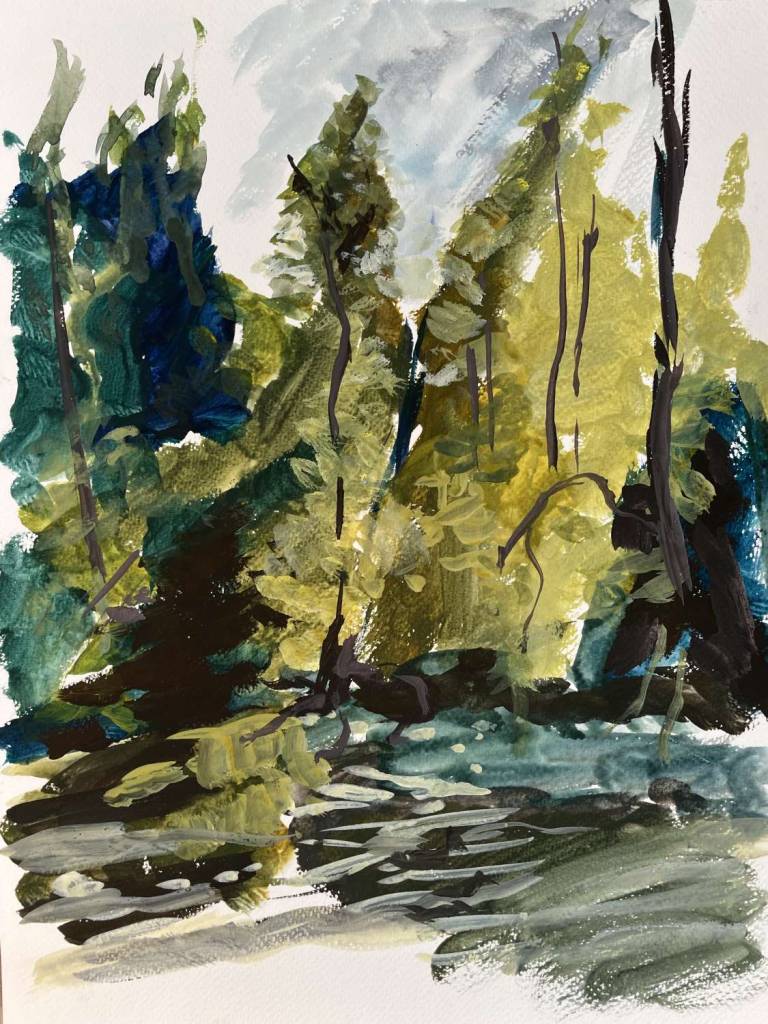 River Teme in the evening at Ludlow - Sally